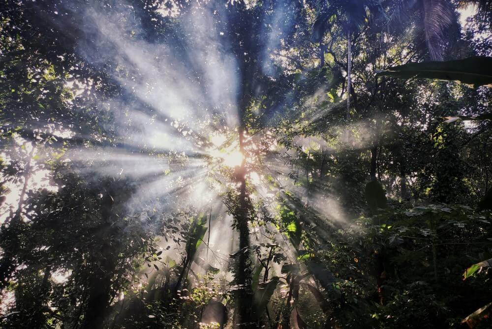 6 Steps I Follow to Reach a Higher Level of Consciousness