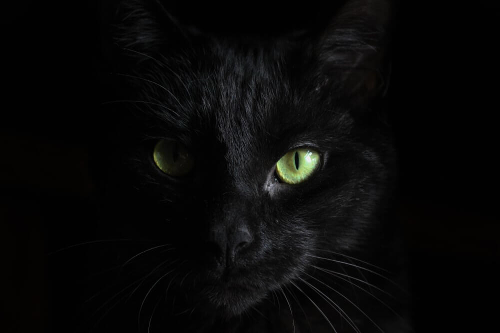 The 6 Superstitions You Need To Know